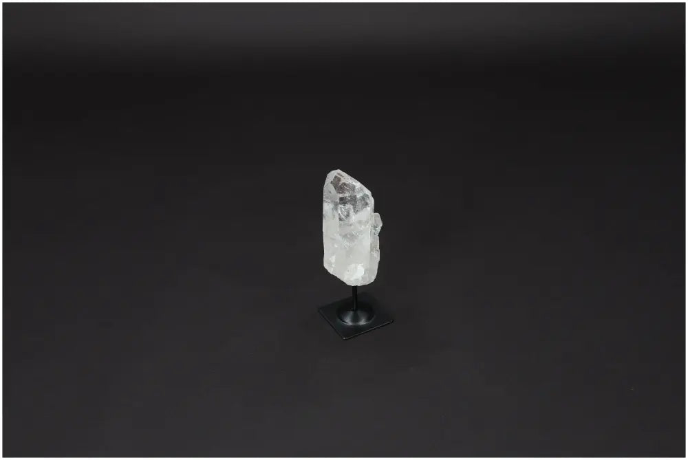 orbitvu|type:image2d