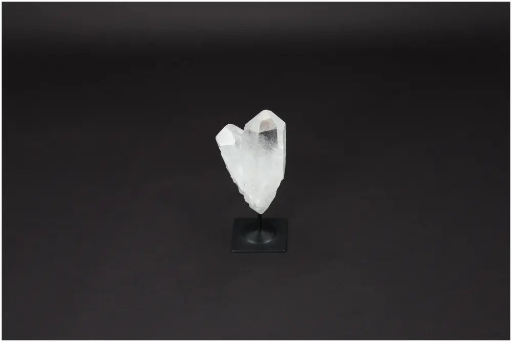 orbitvu|type:image2d