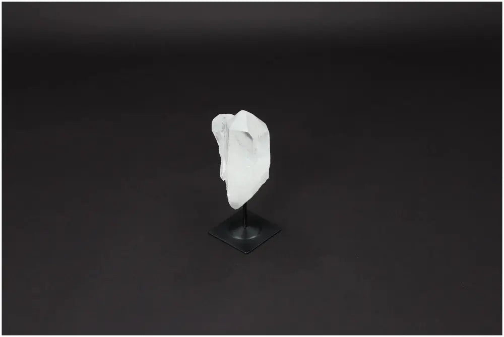 orbitvu|type:image2d