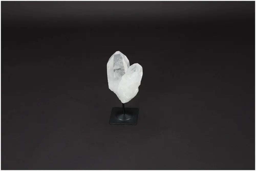 orbitvu|type:image2d