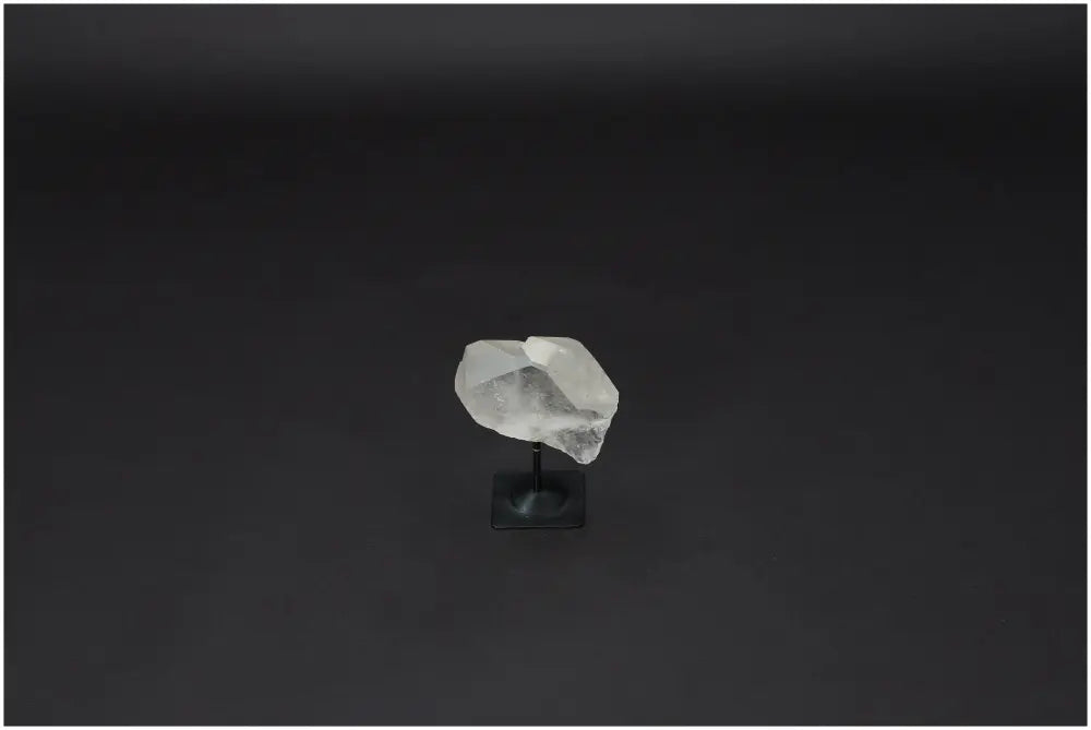 orbitvu|type:image2d