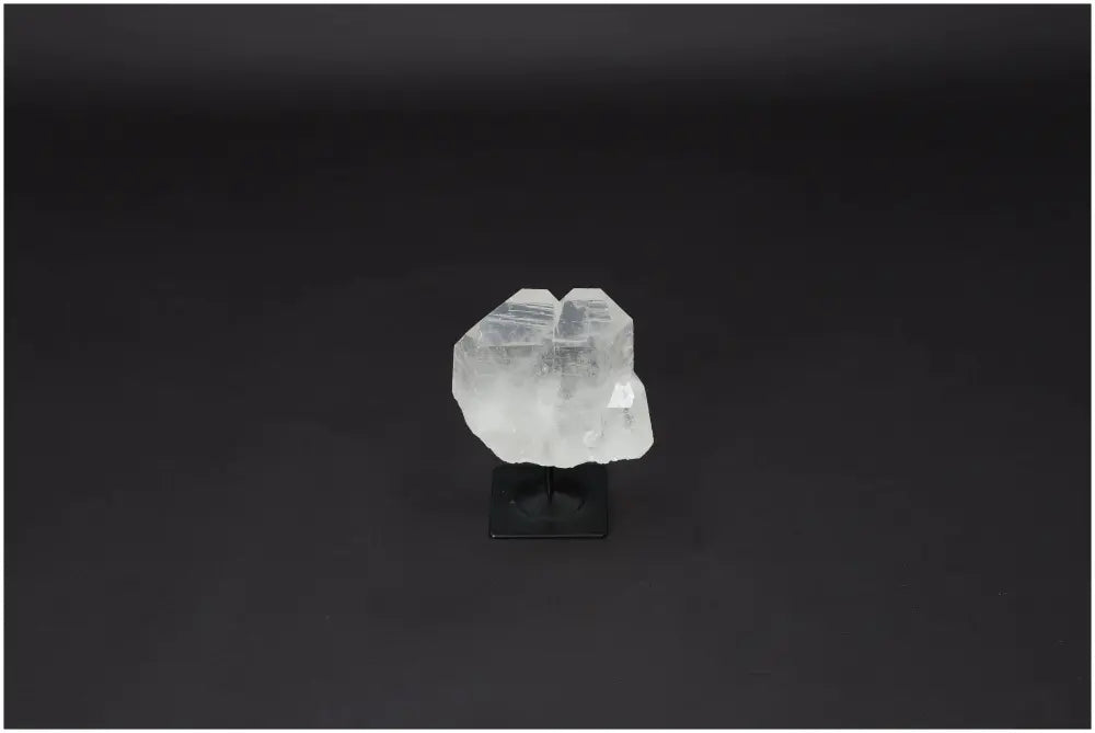 orbitvu|type:image2d