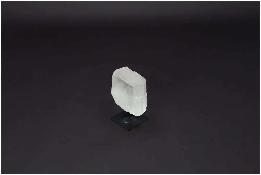 orbitvu|type:image2d