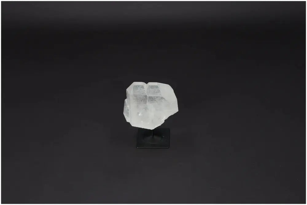 orbitvu|type:image2d