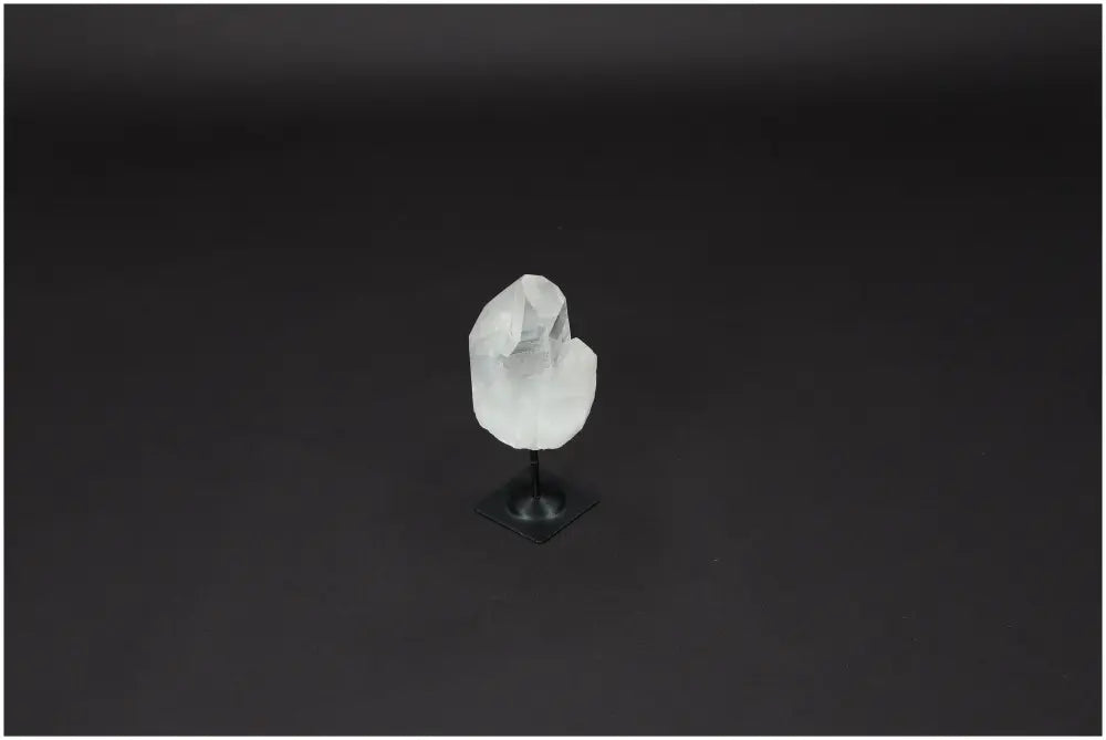 orbitvu|type:image2d