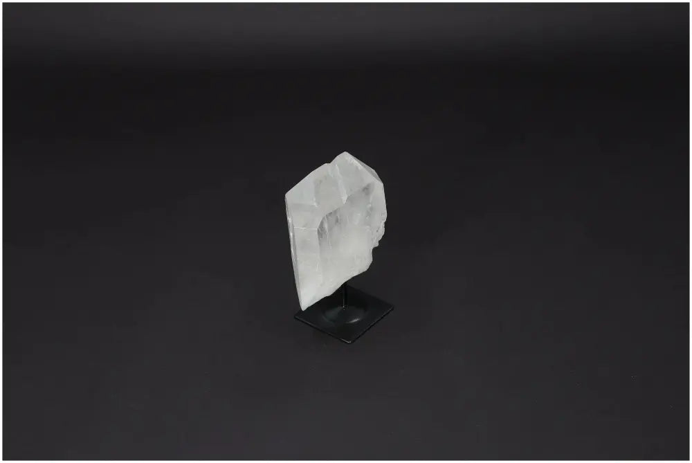 orbitvu|type:image2d