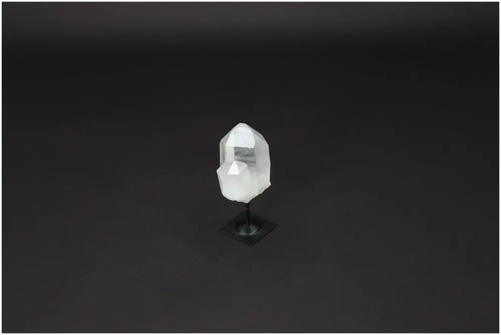 orbitvu|type:image2d