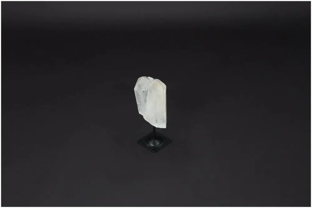 orbitvu|type:image2d