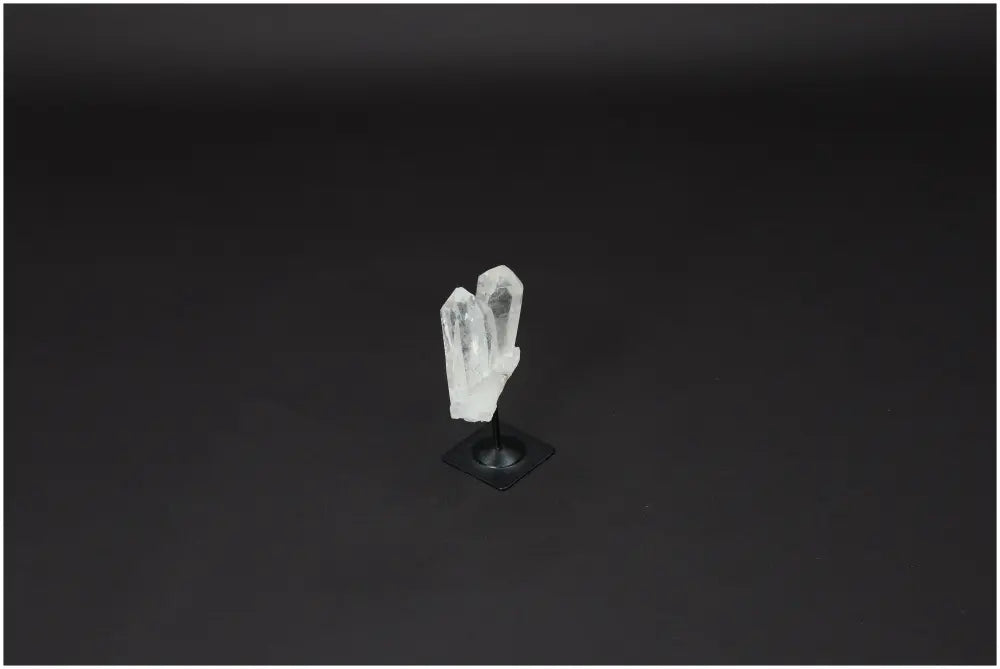 orbitvu|type:image2d