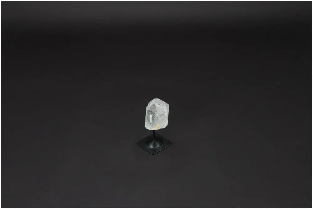 orbitvu|type:image2d