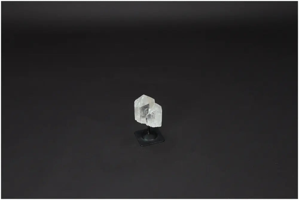 orbitvu|type:image2d