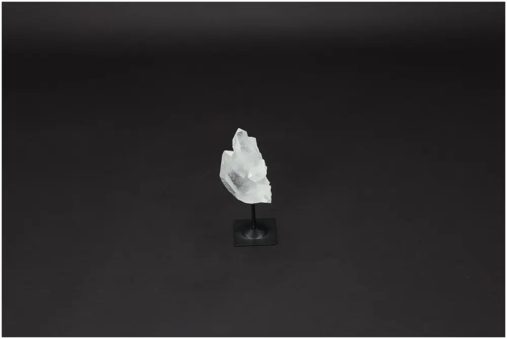 orbitvu|type:image2d