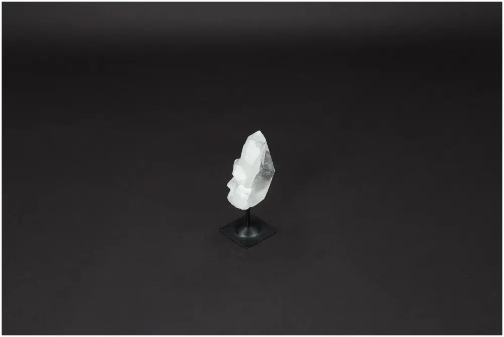 orbitvu|type:image2d