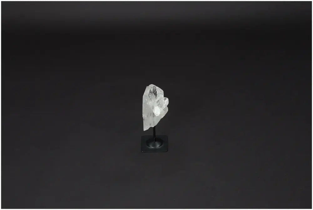 orbitvu|type:image2d