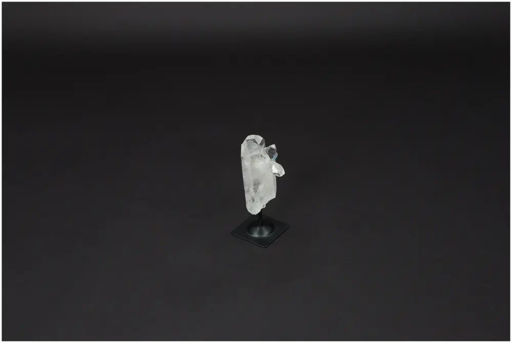 orbitvu|type:image2d