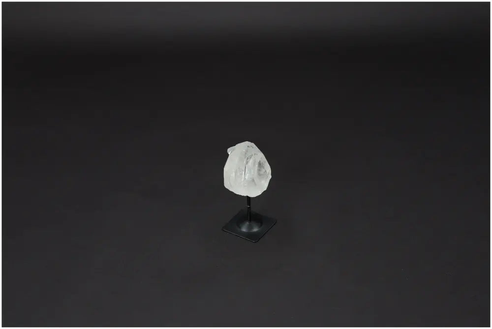 orbitvu|type:image2d