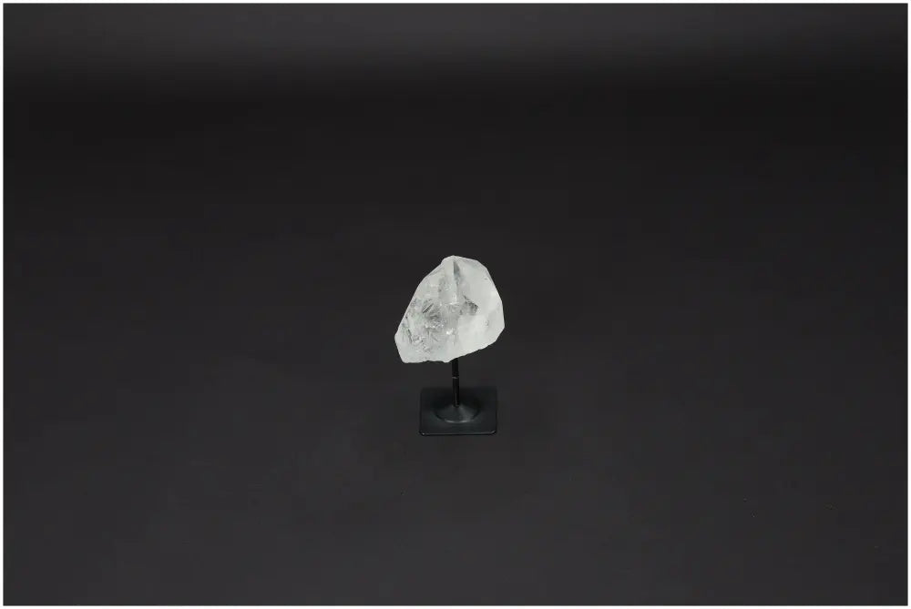 orbitvu|type:image2d