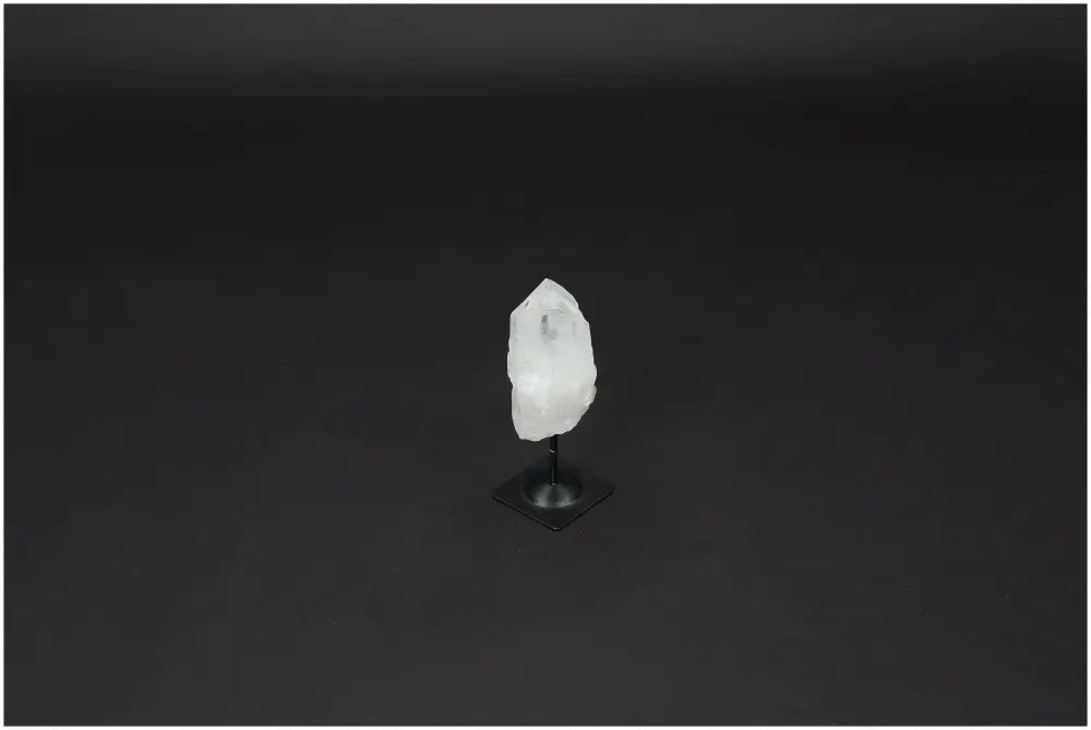 orbitvu|type:image2d