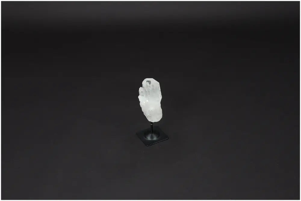 orbitvu|type:image2d