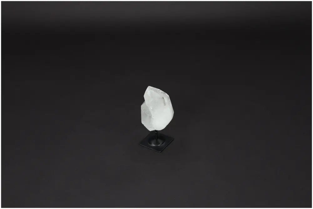 orbitvu|type:image2d