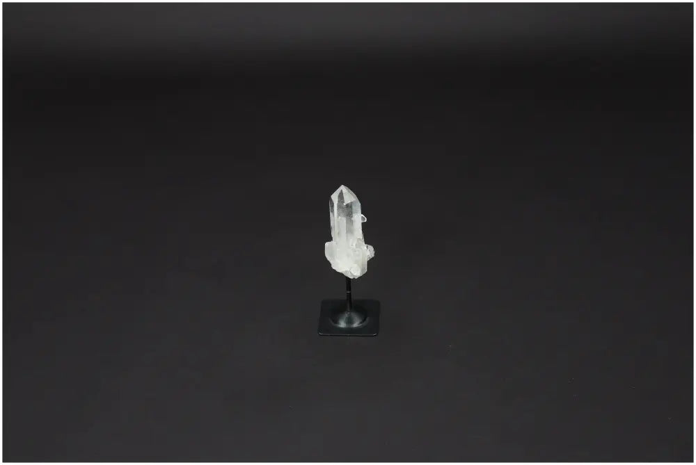 orbitvu|type:image2d