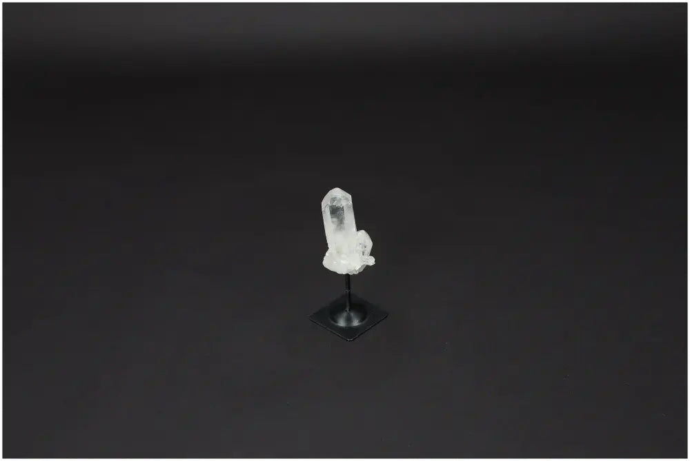 orbitvu|type:image2d