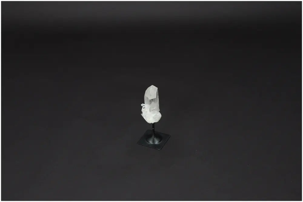 orbitvu|type:image2d