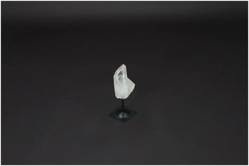 orbitvu|type:image2d