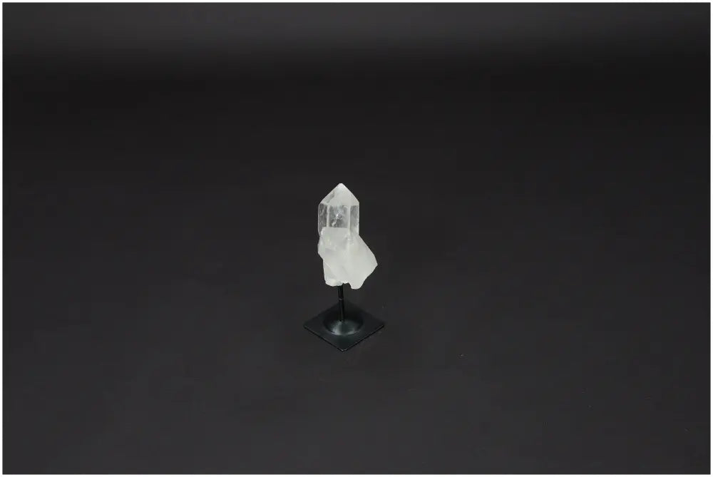 orbitvu|type:image2d