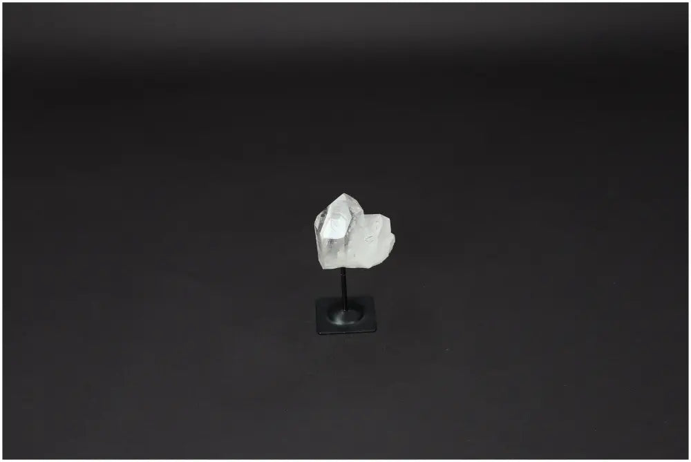 orbitvu|type:image2d