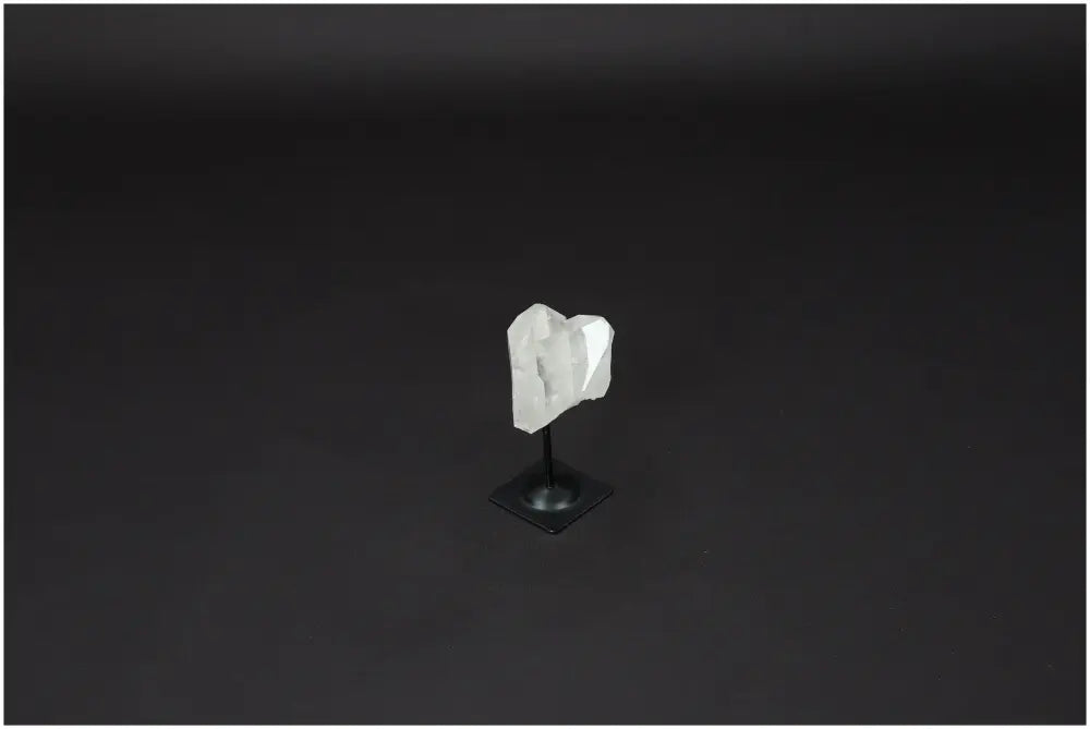 orbitvu|type:image2d