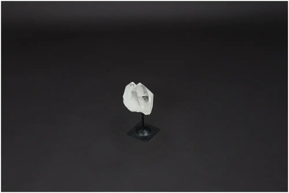 orbitvu|type:image2d