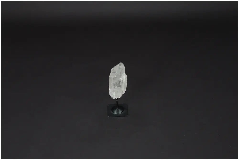 orbitvu|type:image2d