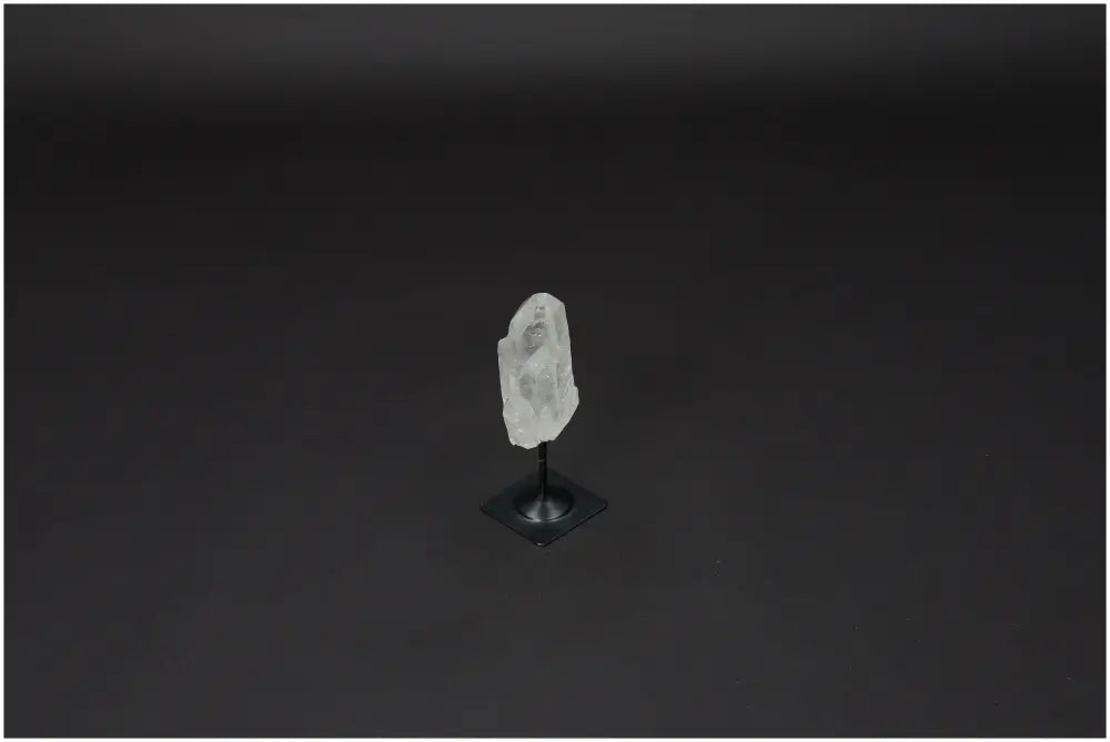 orbitvu|type:image2d