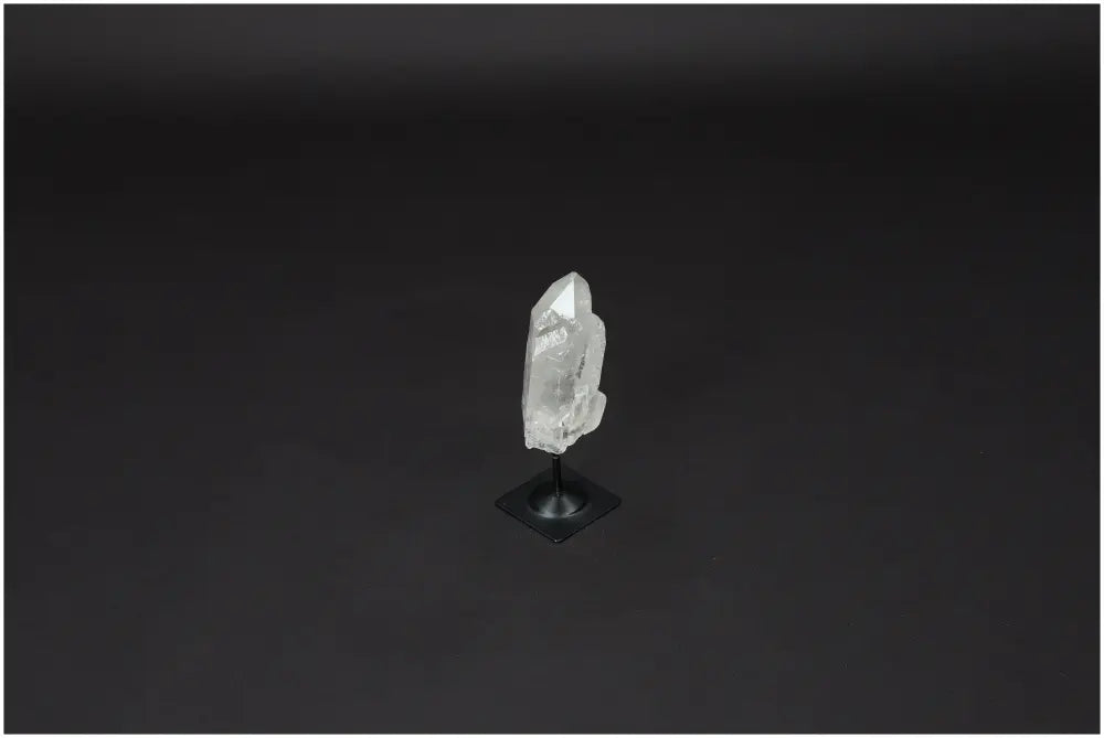 orbitvu|type:image2d