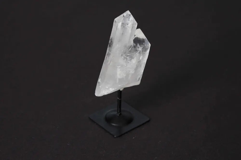 orbitvu|type:image2d