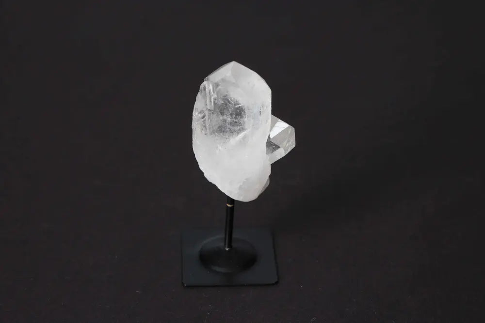 orbitvu|type:image2d