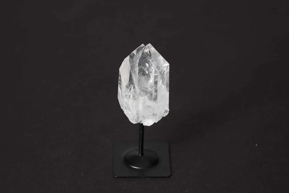 orbitvu|type:image2d