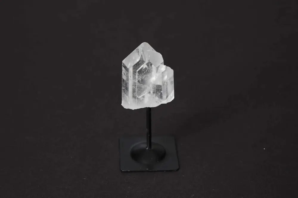 orbitvu|type:image2d