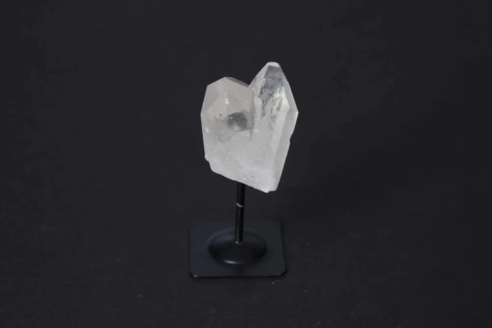 orbitvu|type:image2d