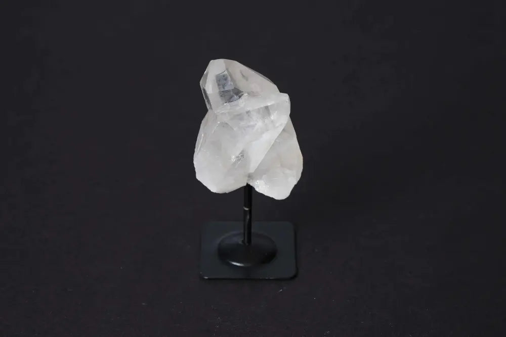 orbitvu|type:image2d