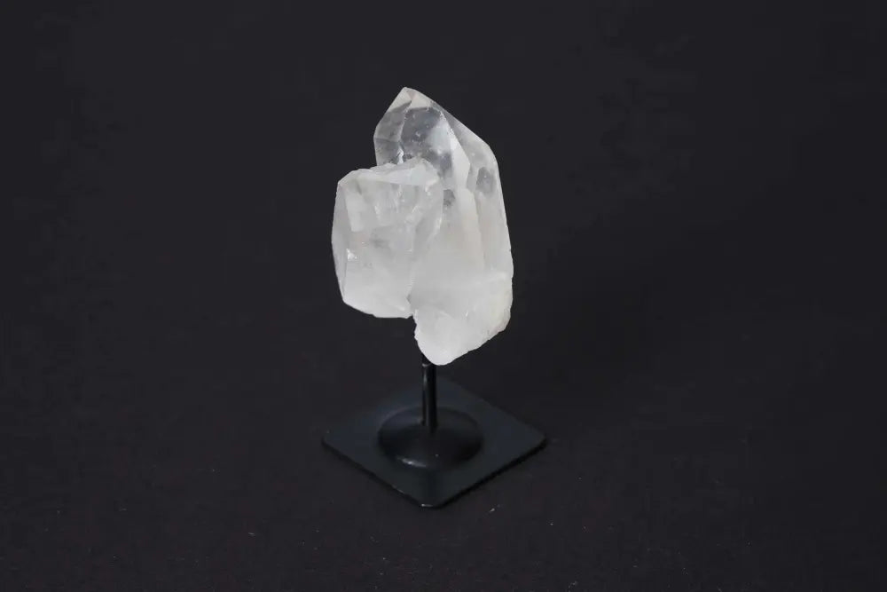 orbitvu|type:image2d