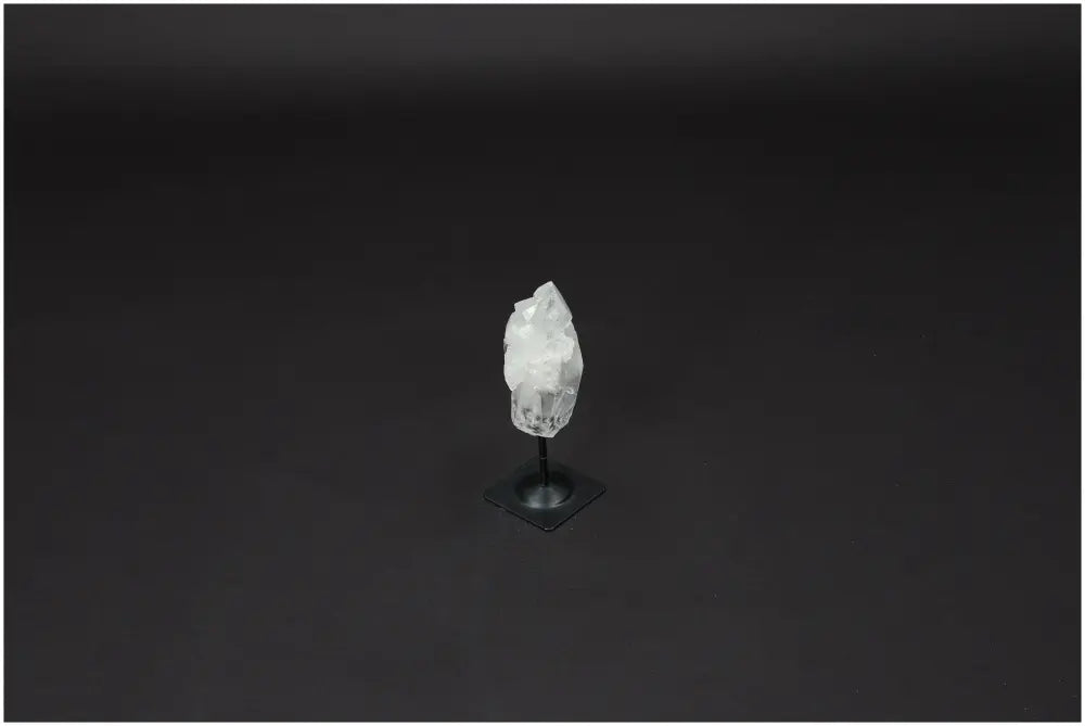 orbitvu|type:image2d