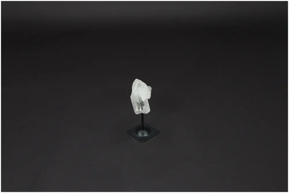 orbitvu|type:image2d