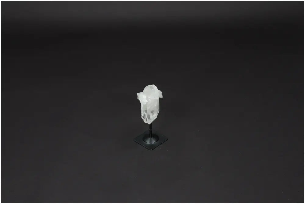 orbitvu|type:image2d