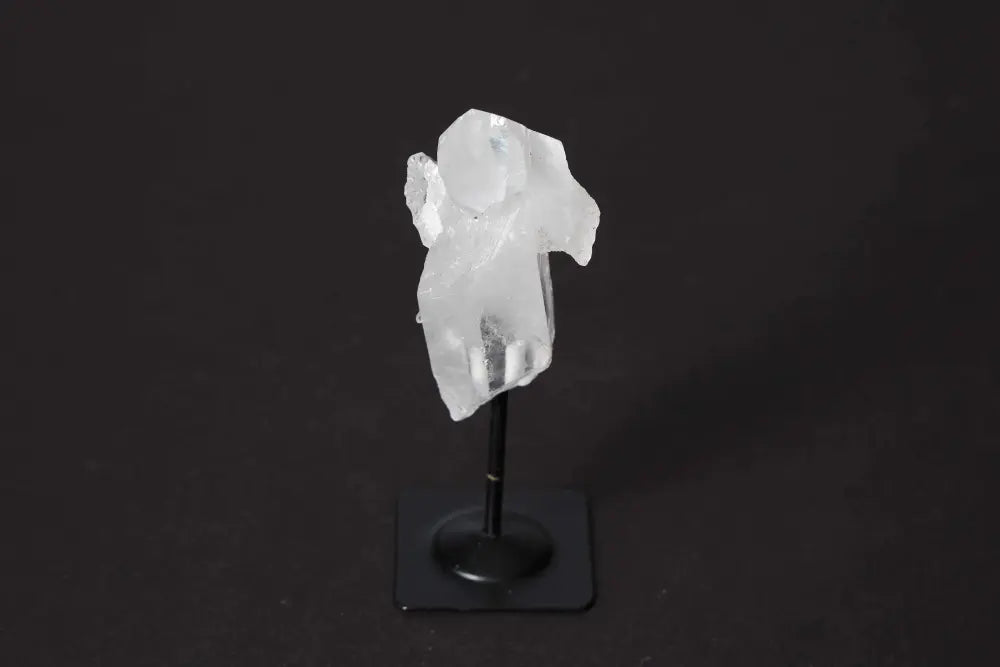 orbitvu|type:image2d