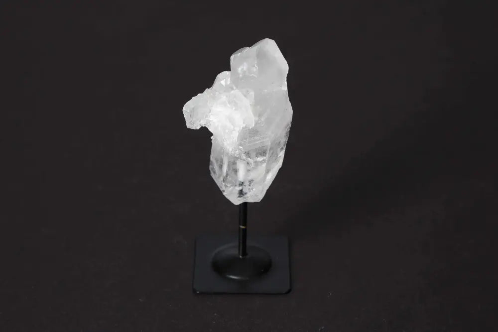 orbitvu|type:image2d