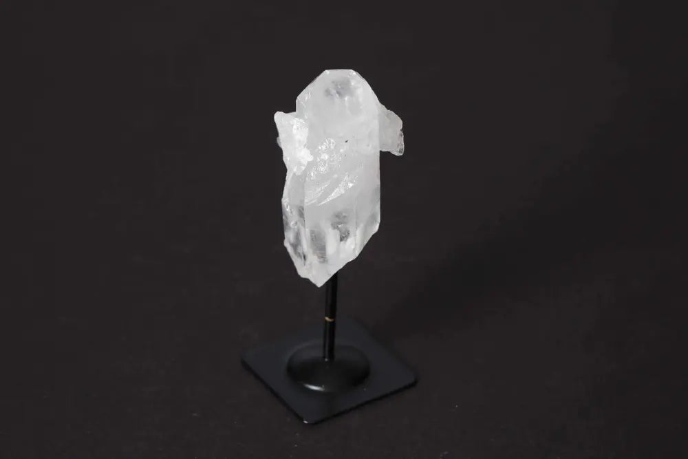 orbitvu|type:image2d