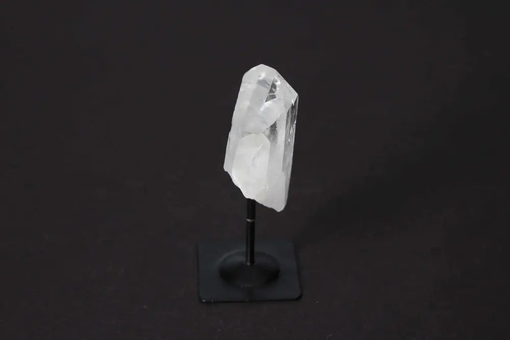 orbitvu|type:image2d