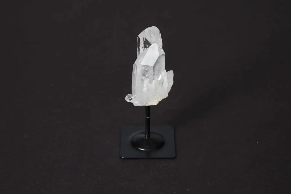 orbitvu|type:image2d